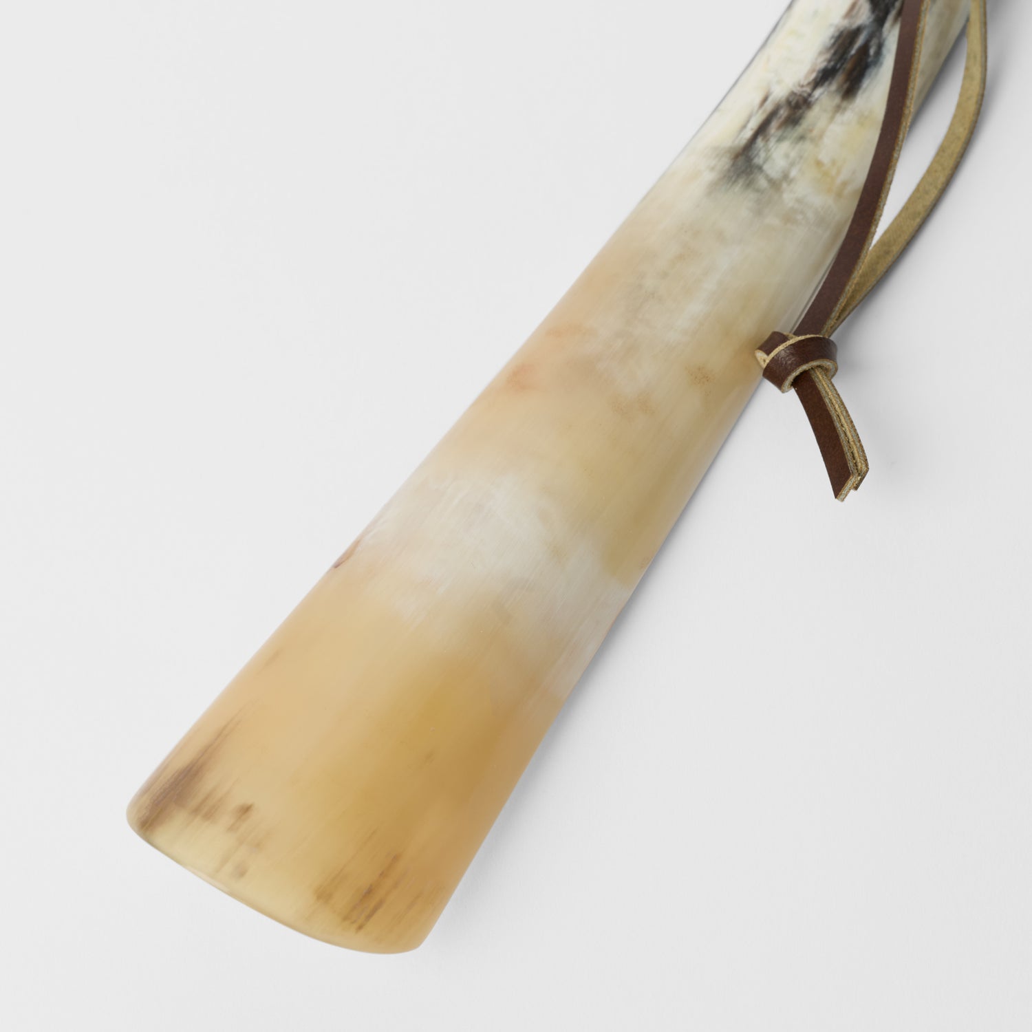 Shoehorn