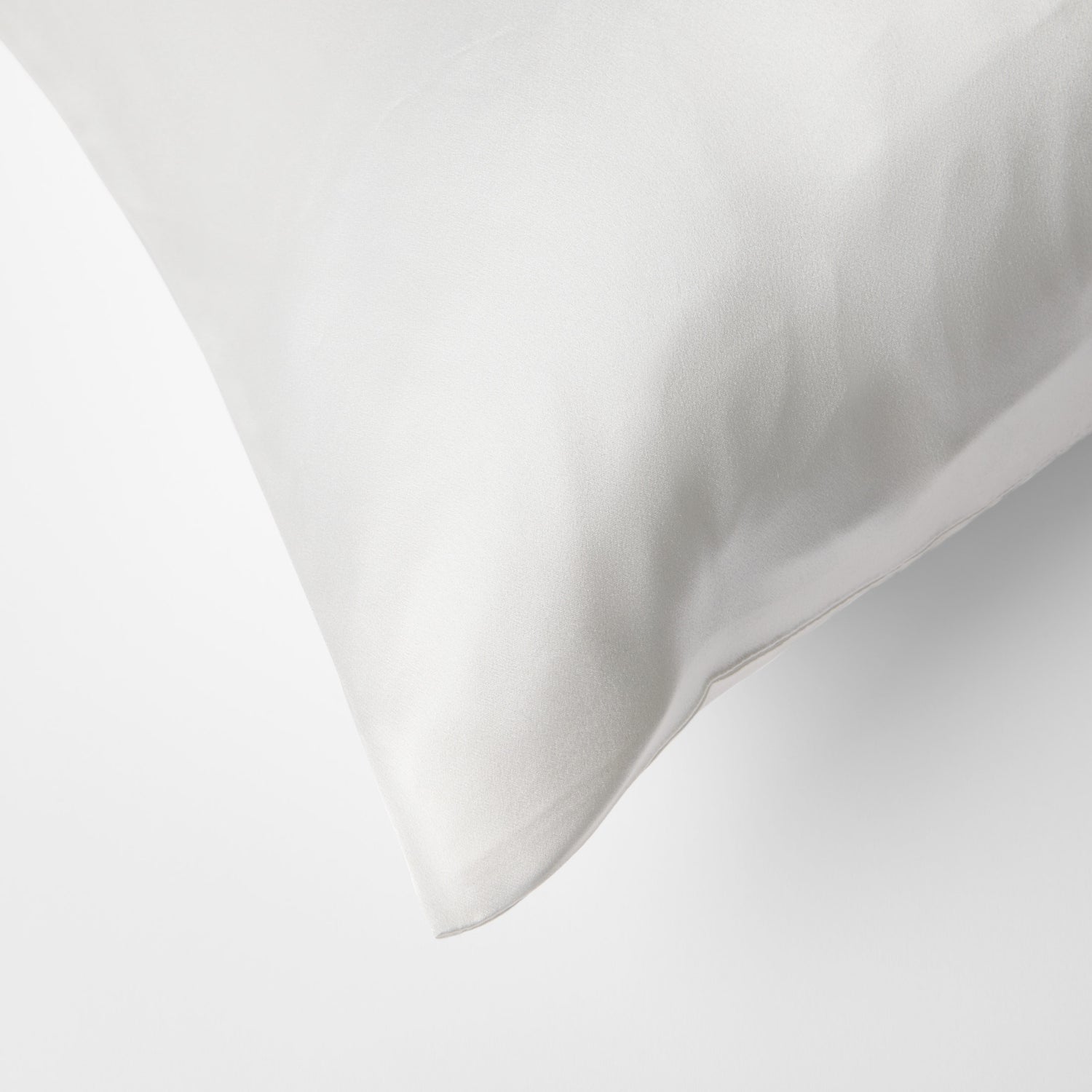 Silk Pillow Cover 1-P
