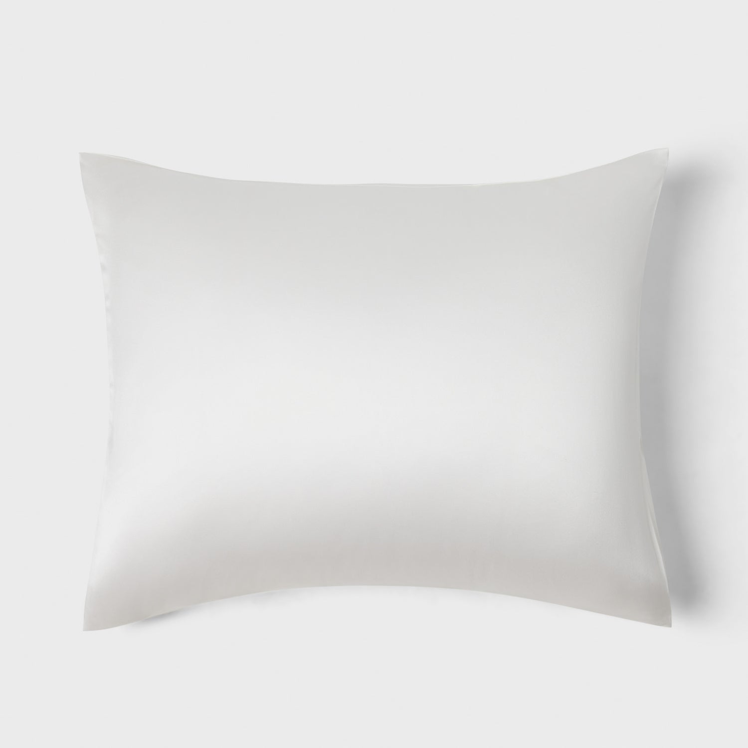 Silk Pillow Cover 1-P