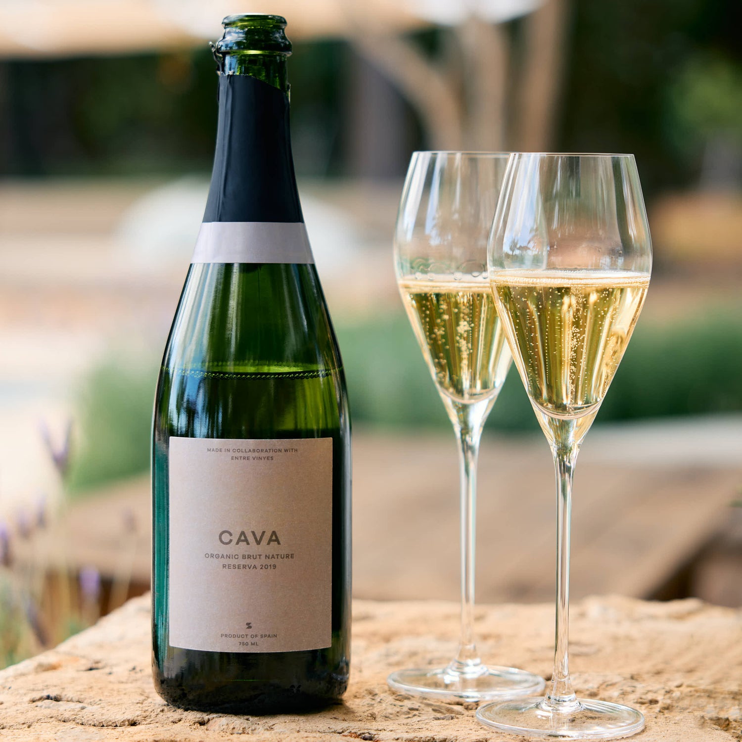 Crystal Champagne Glass 2-P