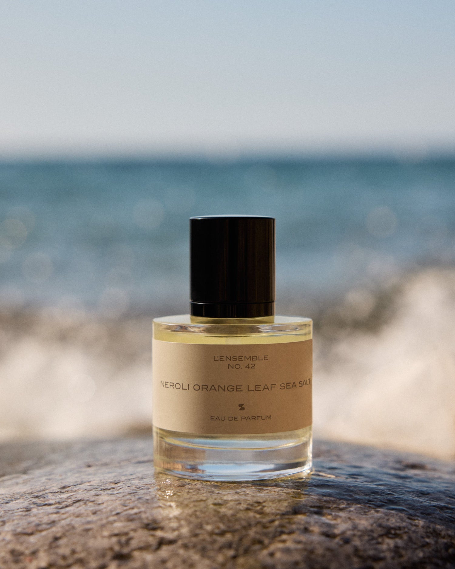 The Memory of Smell