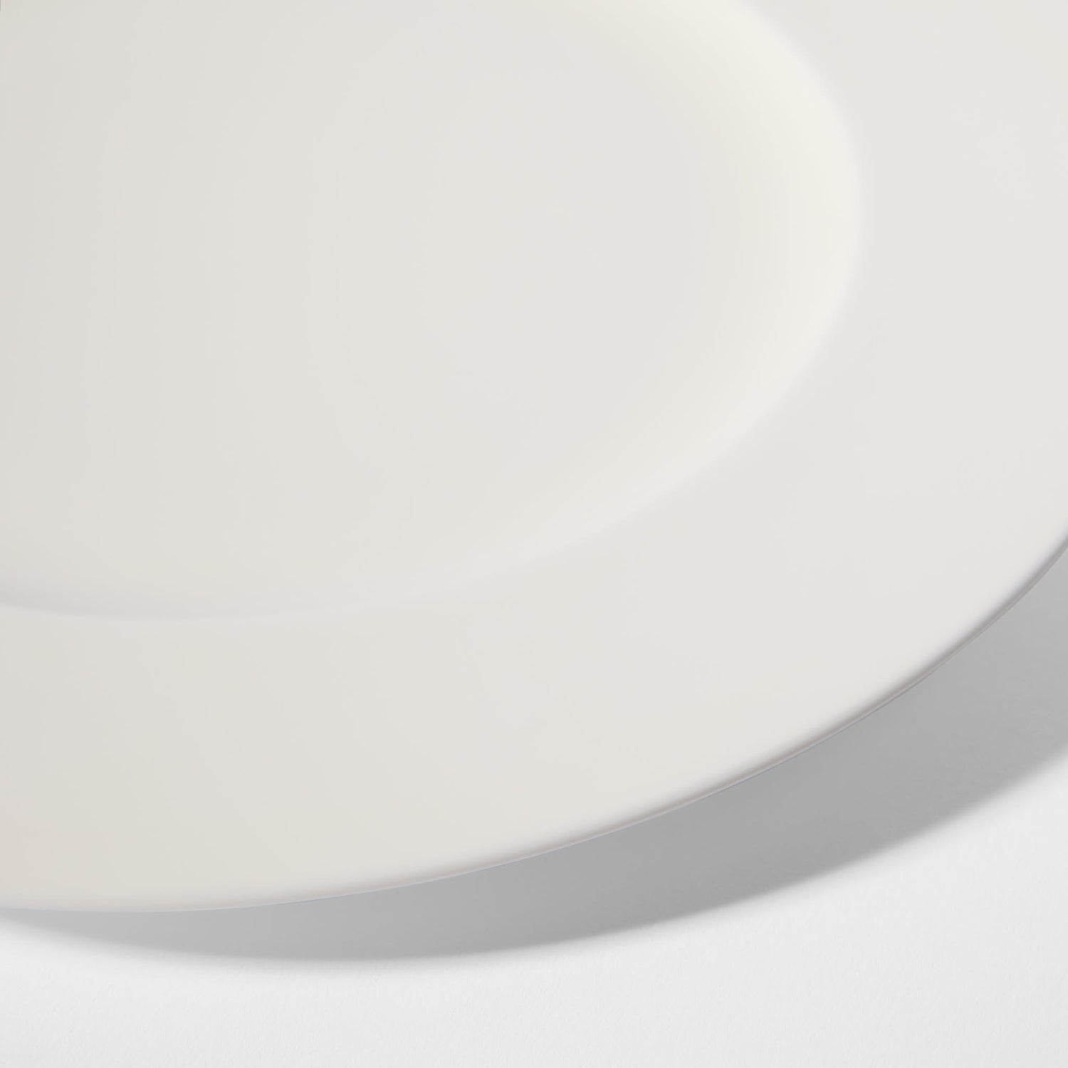 Bone China Dinner Plate 2-P