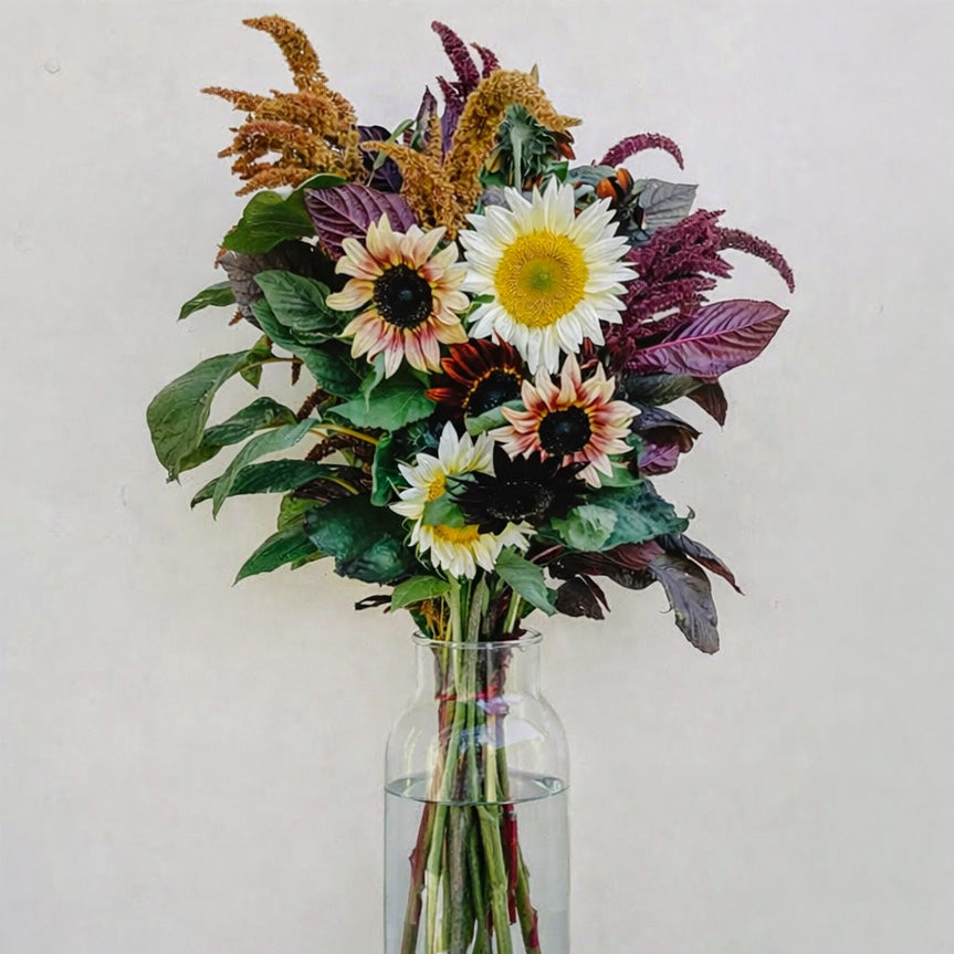 Primadonna blomsterkollektion
