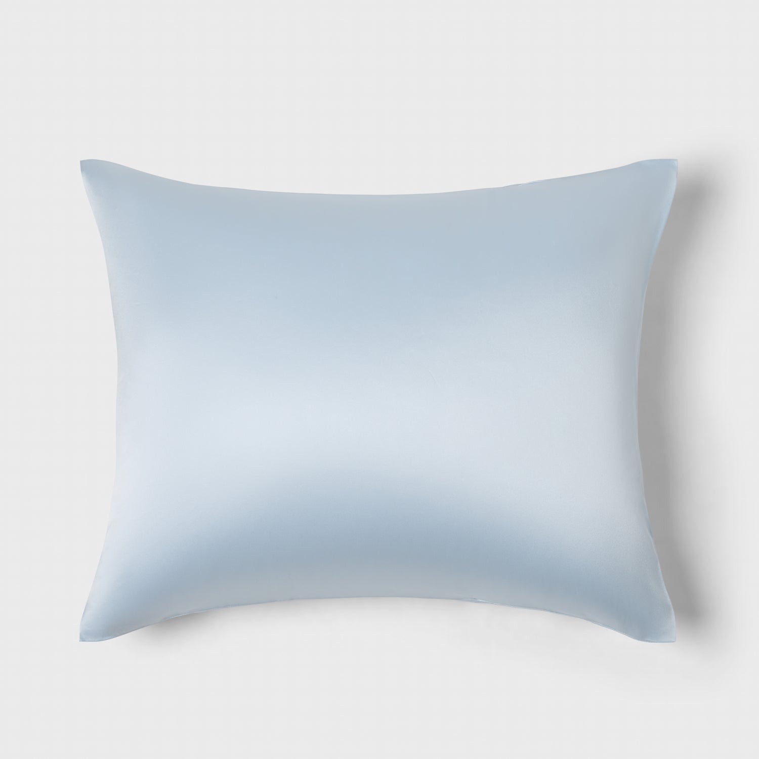 Silk Pillow Cover 1-P