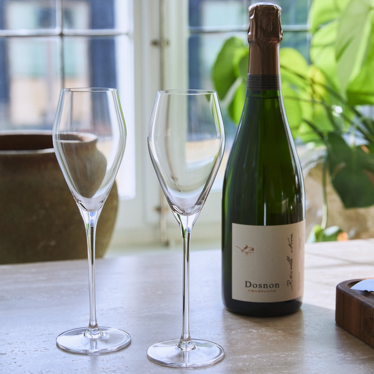 Crystal Champagne Glass 2-P