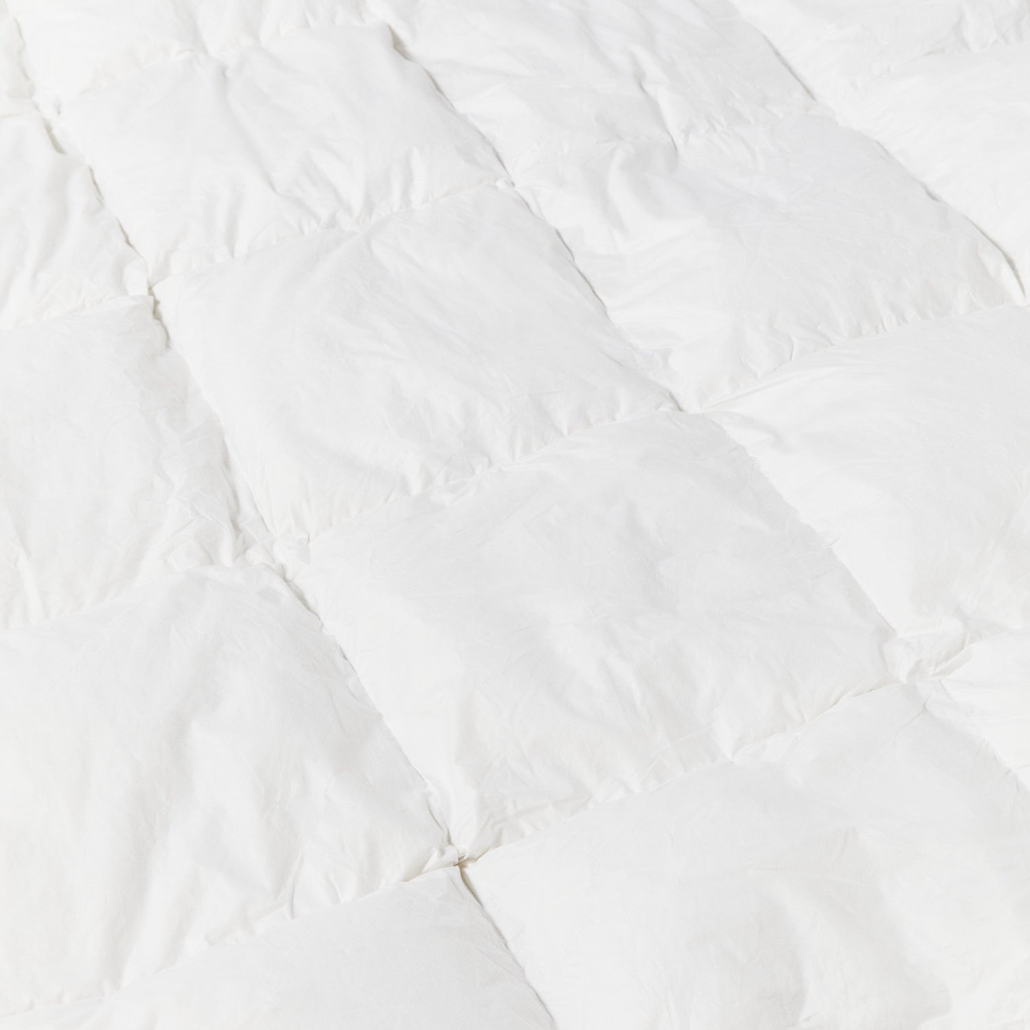 Down Duvet